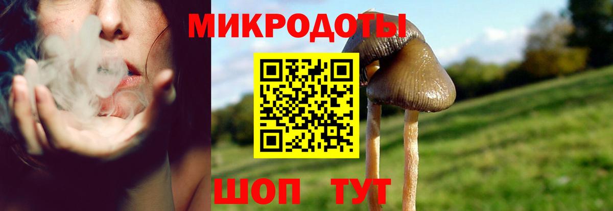Псилоцибиновые грибы Psilocybe Чебаркуль